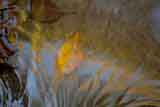 Herbst